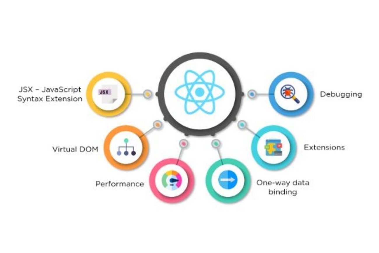 React.js Development Highlights