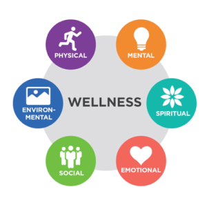 Wellness Software Solutions